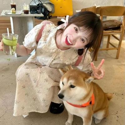 修女的诅咒